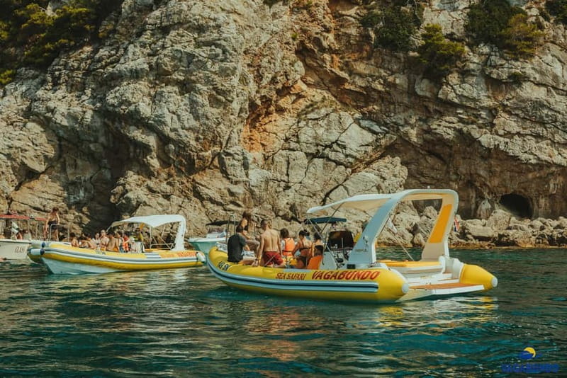 Dubrovnik: Morning Blue Cave speedboat tour with drinks - Dubrovnik Old Town from the water and the return to Ribarnica