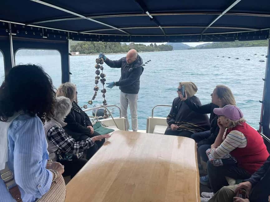 Dubrovnik: Oyster, Mussles, and Wine Tasting Tour in Ston - Ston free time: old town lanes, fort walls, and salt pans