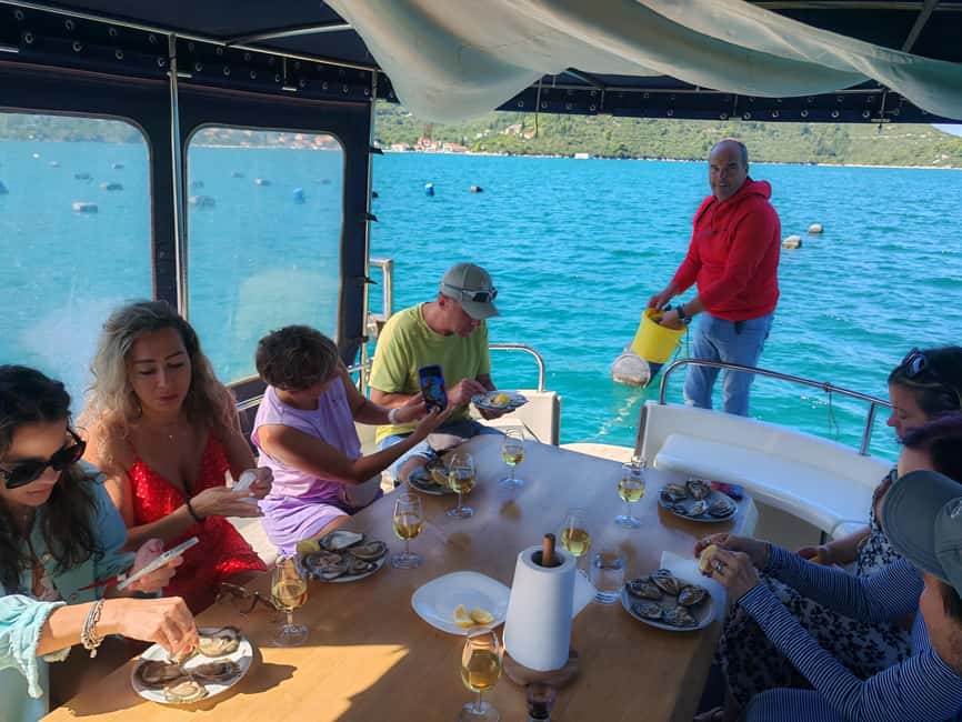 Dubrovnik: Oyster, Mussles, and Wine Tasting Tour in Ston - Price and logistics: is $176 a fair value for 4 hours?