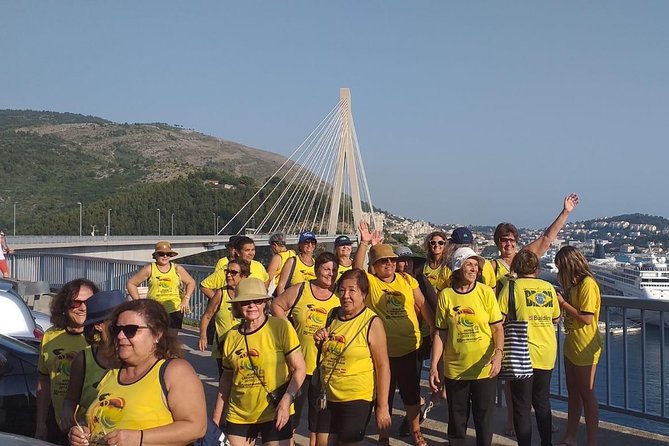 Dubrovnik Panorama Sightseeing with Tour Guide in Minivan - Ride to the Views: A Mini-Van Tour That Handles Dubrovnik Terrain