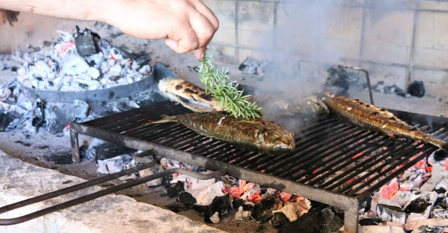 Dubrovnik: Private Cooking Experience with Wine Tasting - After lunch: deckchairs, clean Adriatic water, and time to reset
