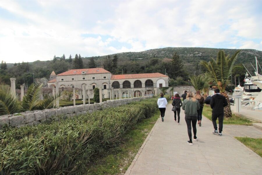 Dubrovnik: Private Cooking Experience with Wine Tasting - Majkovi village farmhouse: liqueurs, cheese, and a kitchen you can feel