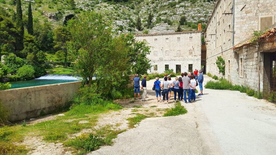 Dubrovnik: Private Cooking Experience with Wine Tasting - Lunch at the farmhouse: salad, pe ka or fish, dessert
