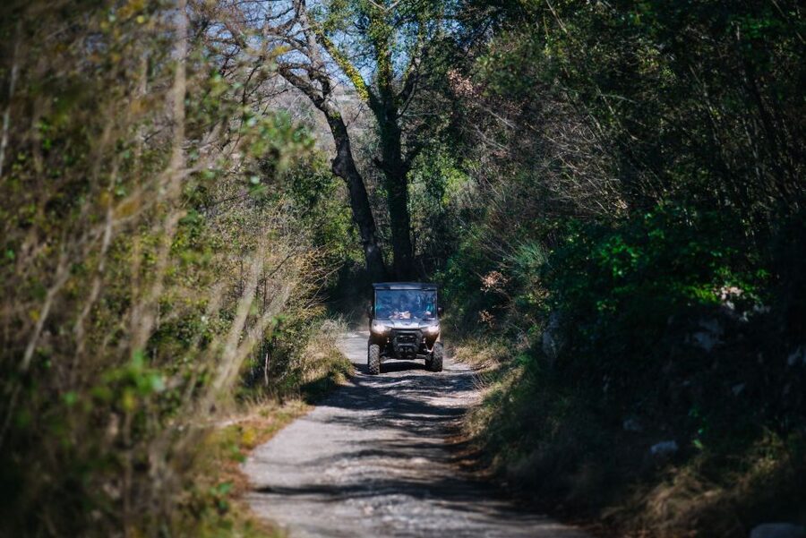 Dubrovnik: Private Panoramic Half-Day Buggy Tour with Brunch - Key Highlights Worth Your Time
