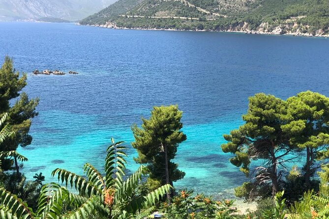 Dubrovnik Private Wine Tasting Tour to Peljesac Peninsula - A wine route that also gives you Ston, bay time, and real coastal views