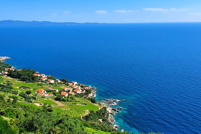 Dubrovnik Private Wine Tasting Tour to Peljesac Peninsula - Pickup, private pace, and staying comfortable on a long day