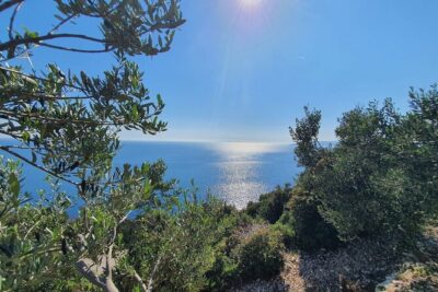 Dubrovnik Private Wine Tasting Tour to Peljesac Peninsula