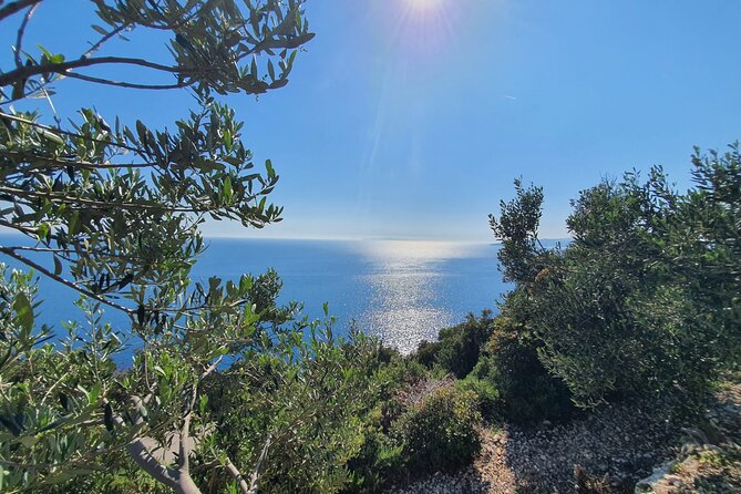 Dubrovnik Private Wine Tasting Tour to Peljesac Peninsula - Price and value: 307.74 per person, but what is actually included