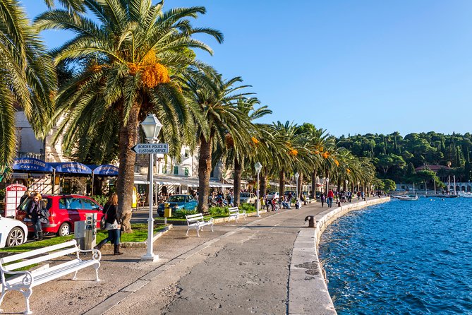 Dubrovnik Riviera and Cavtat - Shore Tour - Ombla River Spring and Dr. Franjo Tuđman Bridge: Quick Stops, Clear Payoff