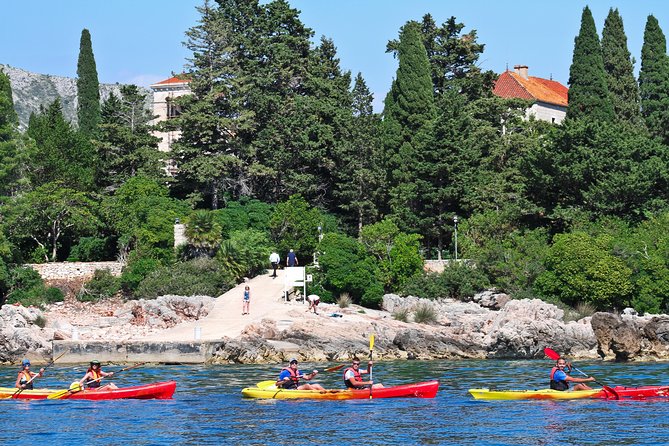 Dubrovnik: Sea Kayaking & Snorkeling Tour - Betina cave snorkeling: the swim stop that people remember