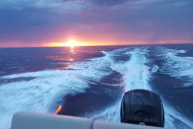 Dubrovnik Speedboat Quicksilver 675 Private Tours - Koločep Island and the Blue Cave: a short stop with big payoff