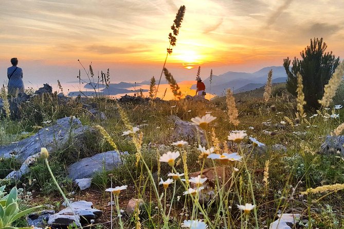 Dubrovnik Sunset Tour with Wine Tasting - The Quick Dubrovnik Highlights Loop: Views Without the Full-Week Plan