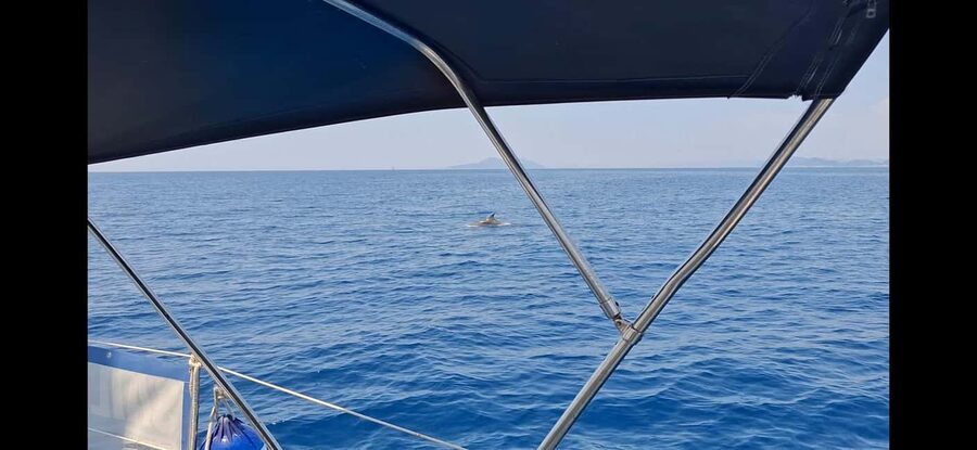 Dubrovnik yacht cruise-Elafity islands & Blue cave - Stop 3: Blue Cave near Koločep, swim and snorkel