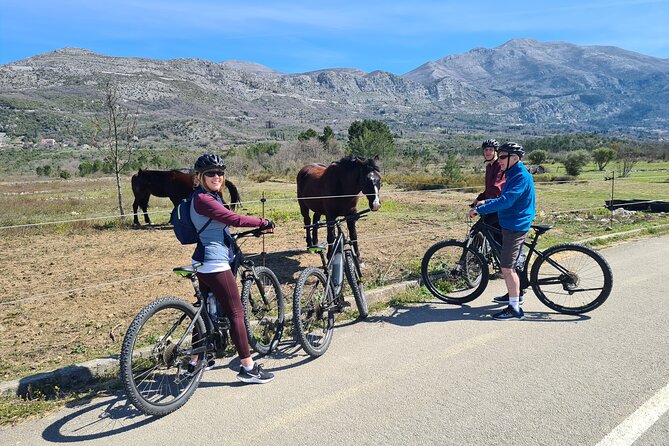 E-Bike Tour + Gourmet Lunch + Wine Tasting (Small Group) - What you will likely eat: from smoked ham to fish or vegetarian mains