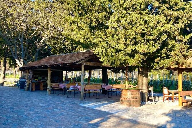 Flavours of Konavle: Wine, Food & Village Life Experience - Botaro Winery: Konavle grapes, wine liqueurs, and a real pairing