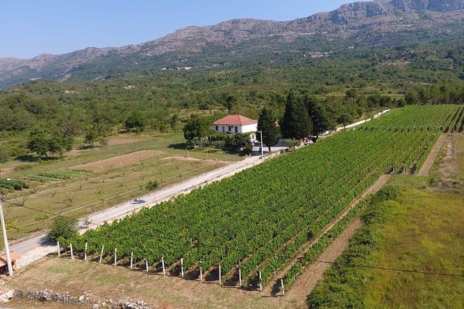Flavours of Konavle: Wine, Food & Village Life Experience - Duboka Ljuta viewpoint stop: quick, useful, and free