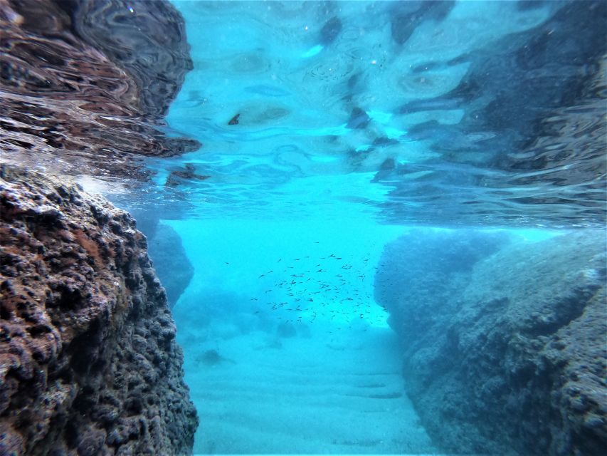 From Dubrovnik: 4-hour Elafiti Islands Private Boat Tour - Lopud Island and Šunj Beach: photos, a walk, and more water time