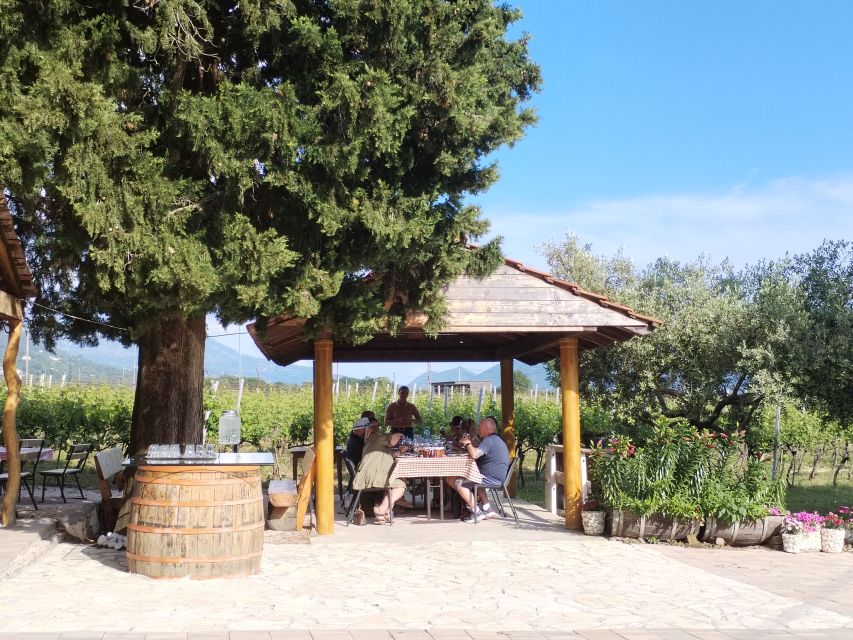 From Dubrovnik: Half-Day Wine Tasting and Cavtat City Tour - Who Should Book This Dubrovnik Wine Tour (and Who Might Not)