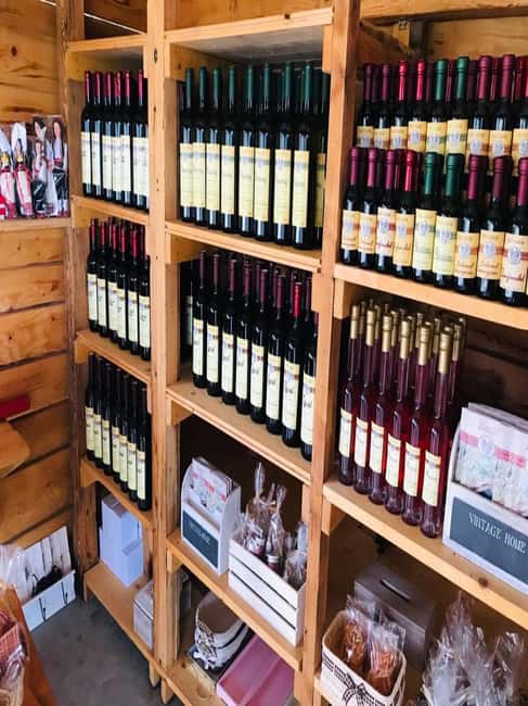From Dubrovnik: Half-Day Wine Tasting and Cavtat City Tour - Getting From Dubrovnik: Pickup, Timing, and the 4-Hour Reality