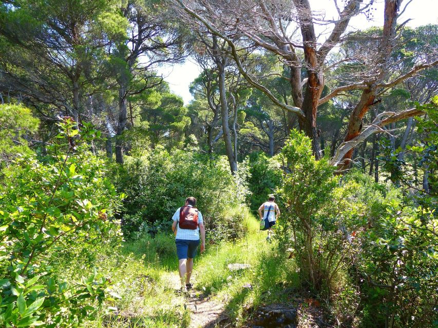 From Dubrovnik: Hiking & Swimming on Koločep Island Day Trip - Snacks, picnic lunch, or a family-run fish restaurant