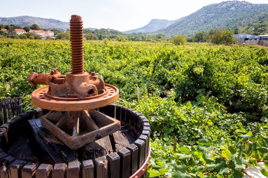 From Dubrovnik: Island of Korčula with wine tasting - Key points before you go