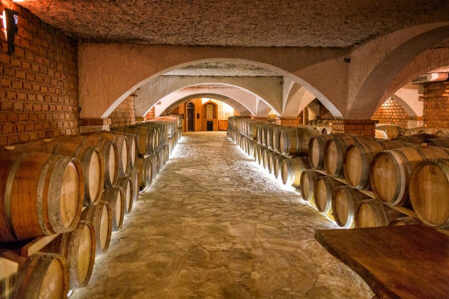 From Dubrovnik: Island of Korčula with wine tasting - Crossing by ferry from Orebić to Korčula