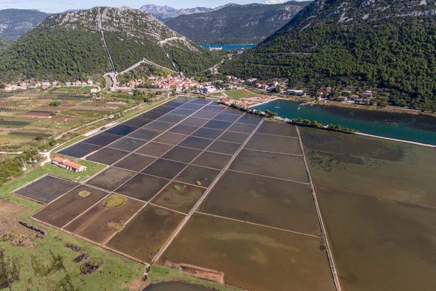 From Dubrovnik: Island of Korčula with wine tasting - The itinerary in plain language, from pickup to the return to Dubrovnik