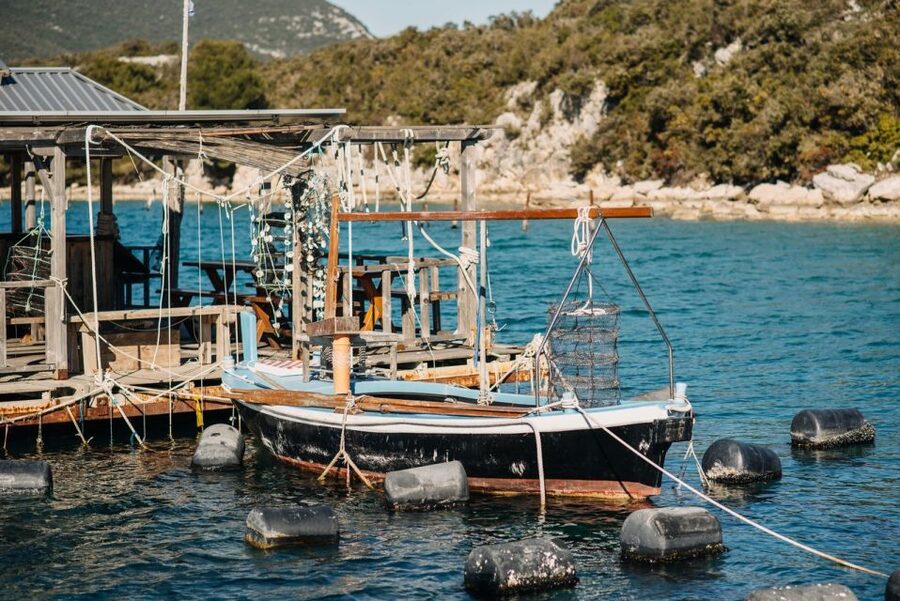 From Dubrovnik: Mali Ston Oyster Paradise Tour with Transfer - The switch to Mali Ston: short rides, longer food payoff