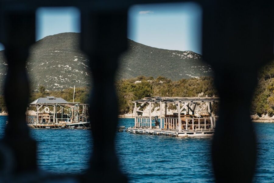 From Dubrovnik: Mali Ston Oyster Paradise Tour with Transfer - What you’ll eat and drink, plus how to manage expectations