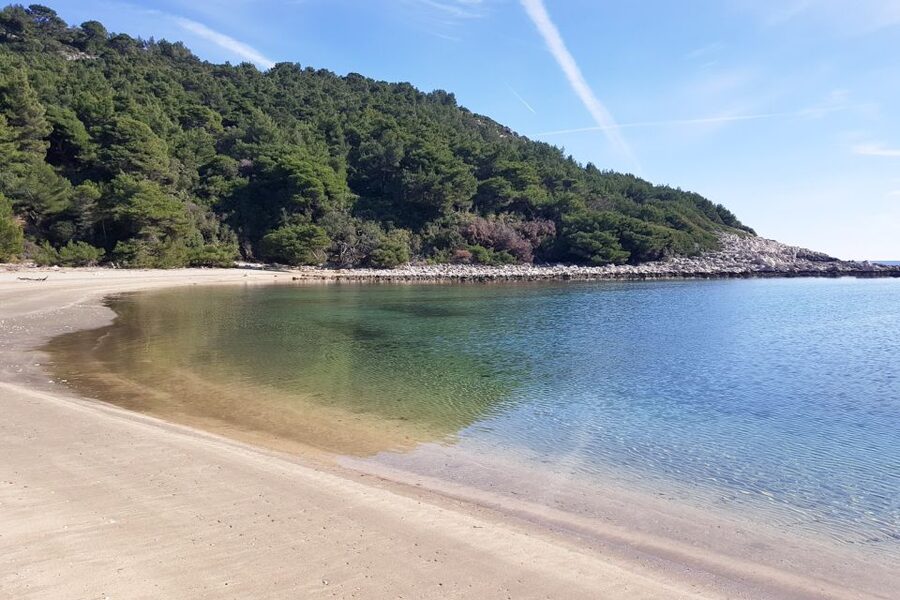 From Dubrovnik: Pvt Speedboat Cruise to Mljet&Sipanska Luka - Who This Tour Fits Best, and Who Should Skip It