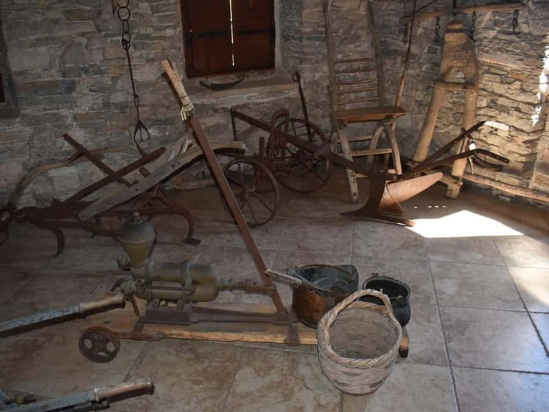 From Korcula Town: Local Wine & Sightseeing Half-Day Tour - The Included Tasting Spread: What You Actually Get for Your Money