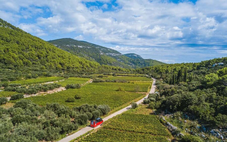 From Korcula Town: Local Wine & Sightseeing Half-Day Tour - The Panoramic Ride: Viewpoints, Hamlets, and Scenic Stops