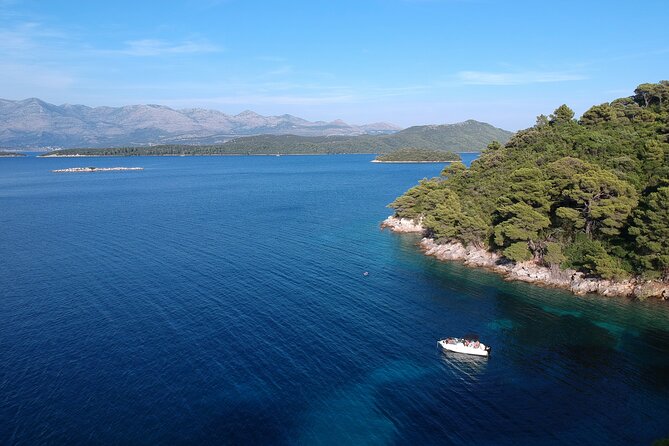 Full-Day Elafiti Islands Private Speed Boat Tour by Quicksilver 675 - Šipan Island: the largest Elafiti feel with olive groves, birds, and local goods