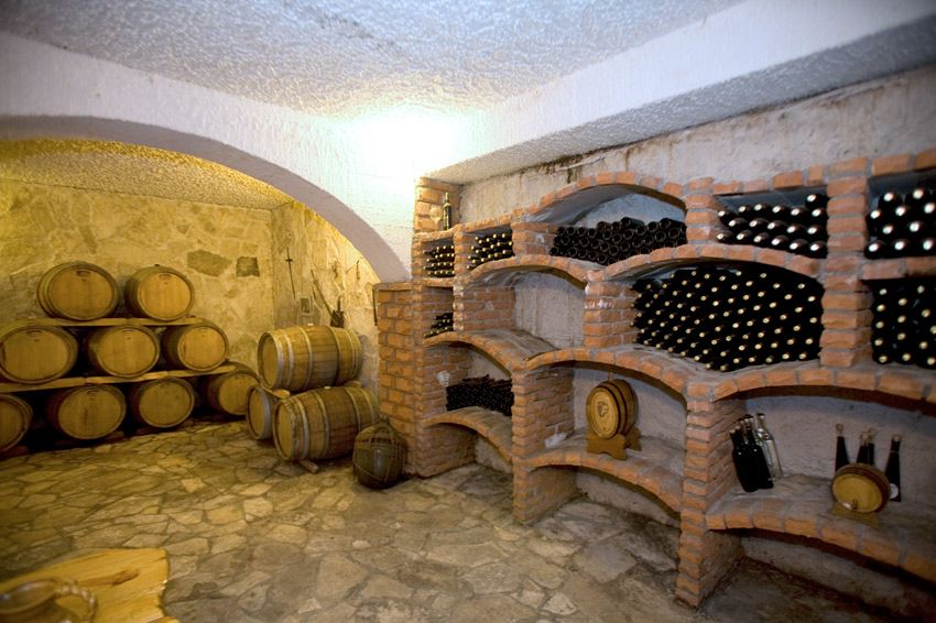 Full-Day Peljesac Wine Tour - The Dingac One-Hour Walk: Where the Wine Country Becomes Real