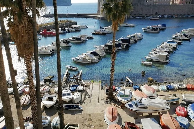 Guided Tour to discover Dubrovnik's Old Town, by day or night - Getting Your Bearings in Dubrovnik’s Old Town, day or night