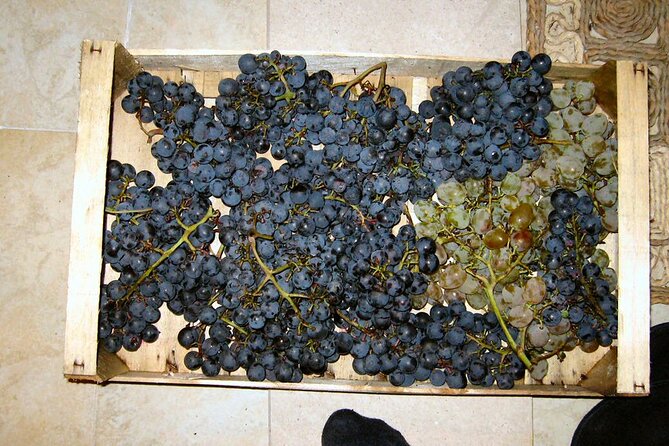 Half Day Tour - Deep and Dark Red Wine of Pelješac - Transportation, Pickup, and Why Private Matters