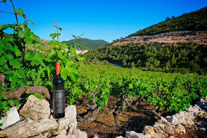Half Day Tour - Deep and Dark Red Wine of Pelješac - Price and Value: Is $177.52 a Good Deal?