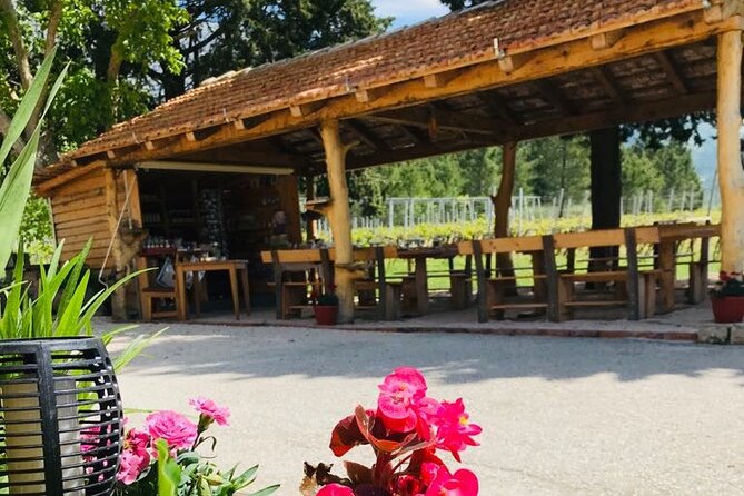 Half-Day Wine and Food Tasting from Dubrovnik - Cavtat Old Town: The Easy Coastal Finish