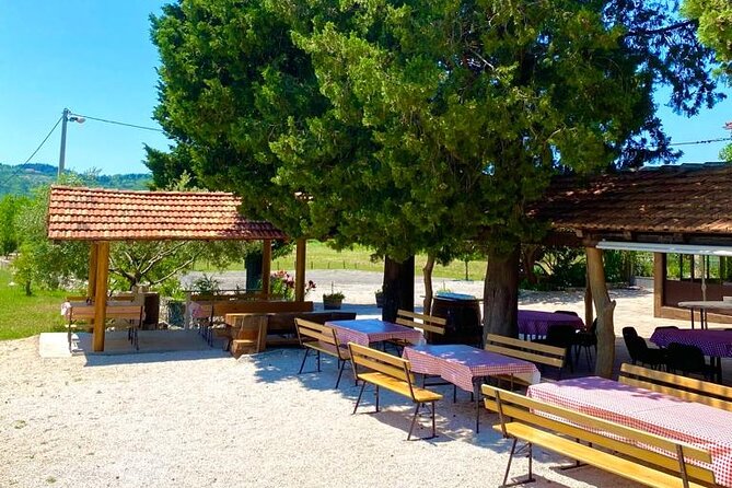Half-Day Wine and Food Tasting from Dubrovnik - Price and Value: What You Are Paying For