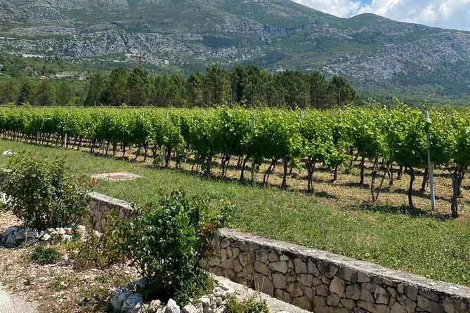 Half-Day Wine and Food Tasting from Dubrovnik - Should You Book the Half Day Wine and Food Tasting From Dubrovnik?