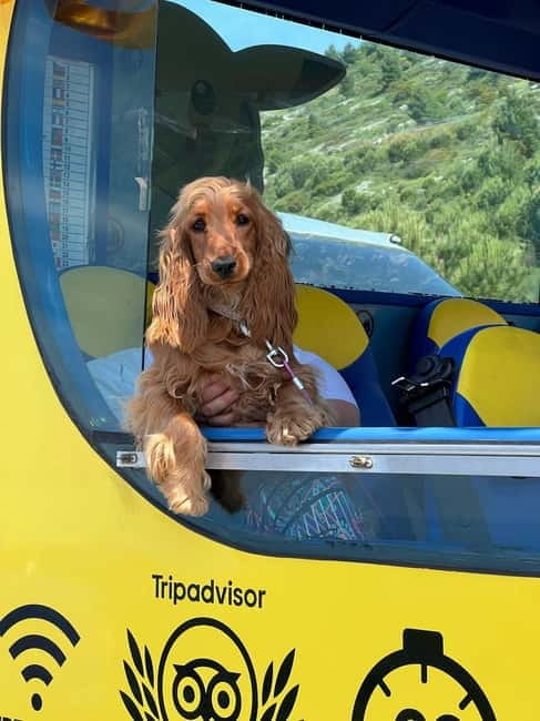 Hop-On Hop-Off Yellow Cabrio Tour: See Dubrovnik in 90mins - What you actually get during the tour: driver-guide, water, and WiFi