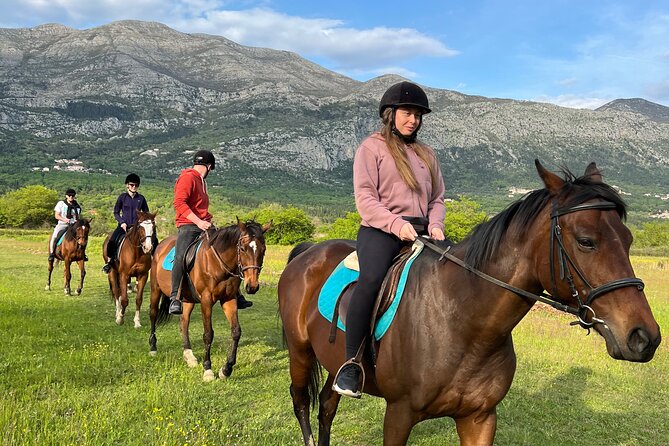 Horseback Riding Experience with transport from Dubrovnik - Key Things You Should Know Before You Go