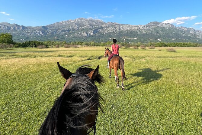 Horseback Riding Experience with transport from Dubrovnik - Konavle Horseback Riding, Plus Dubrovnik Pickup: What Makes It Worth Your Time