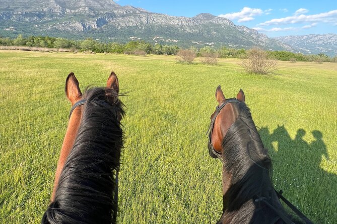 Horseback Riding Experience with transport from Dubrovnik - Your Hosts: How Antea, Iris, and Andrea Set the Tone