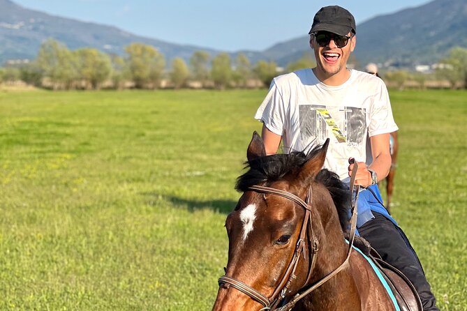 Horseback Riding Experience with transport from Dubrovnik - Safety and Comfort for Beginners: Calm Horses and Straightforward Riding