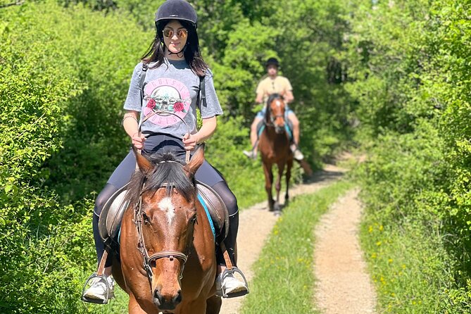 Horseback Riding Experience with transport from Dubrovnik - Group Size and Why It Changes Everything