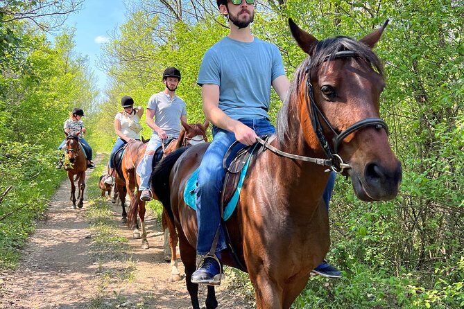 Horseback Riding Experience with transport from Dubrovnik - Price and Value at $118.94: What You’re Actually Paying For