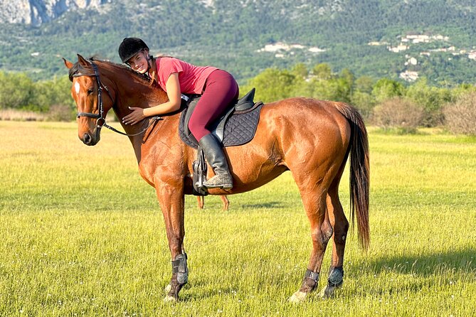 Horseback Riding Experience with transport from Dubrovnik - Timing and Route: The 9:00am Start and How Pickup Really Affects Your Morning