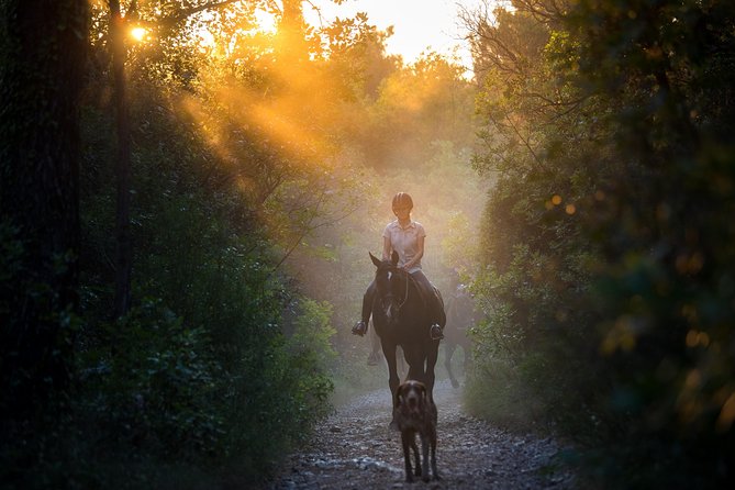 Horseback Riding in Konavle Region with Transport from Dubrovnik - Key Things You’ll Notice on This Konavle Horse Tour