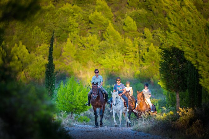 Horseback Riding in Konavle Region with Transport from Dubrovnik - Dubrovnik Pickup That Actually Works as a Half-Day Plan